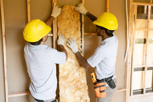 Best Blown-In Insulation  in Lake Leann, MI