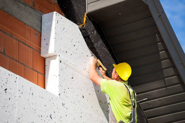 Best Wall Insulation Installation  in Lake Leann, MI